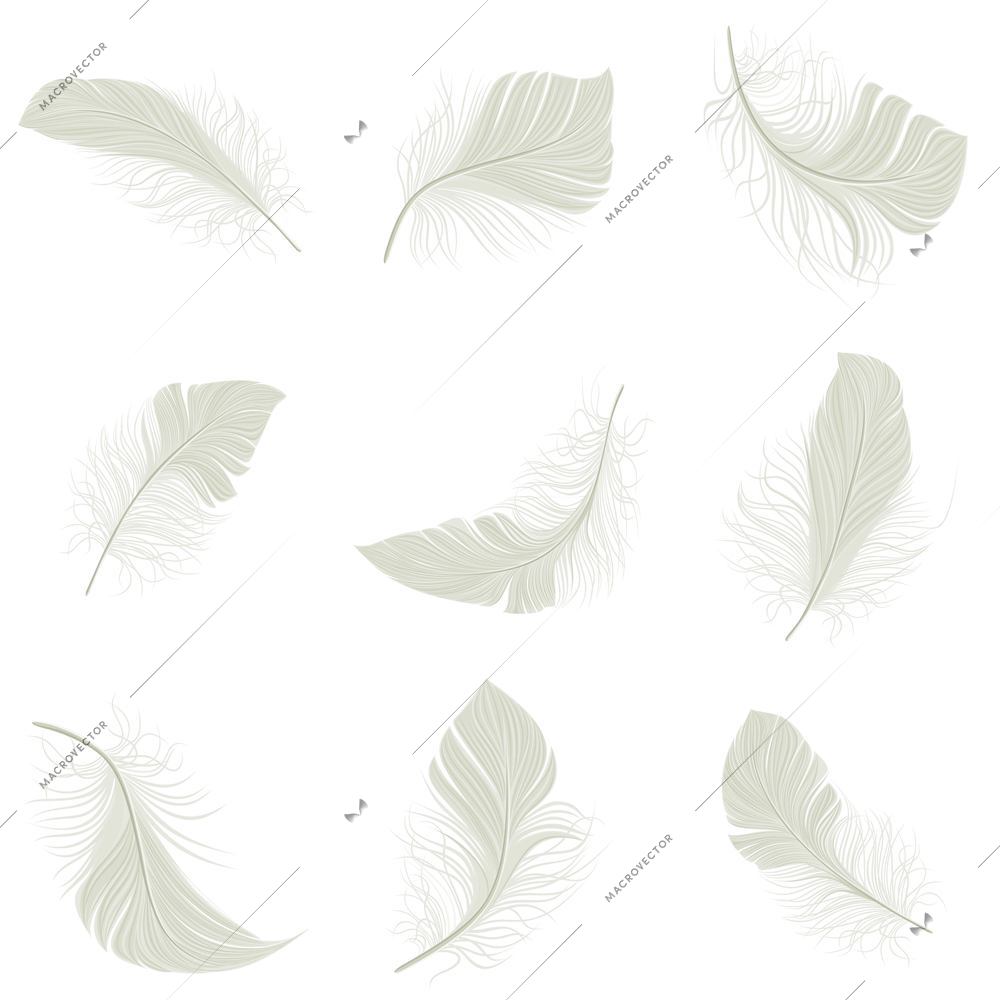 White bird wing feather decorative icons set isolated vector illustration