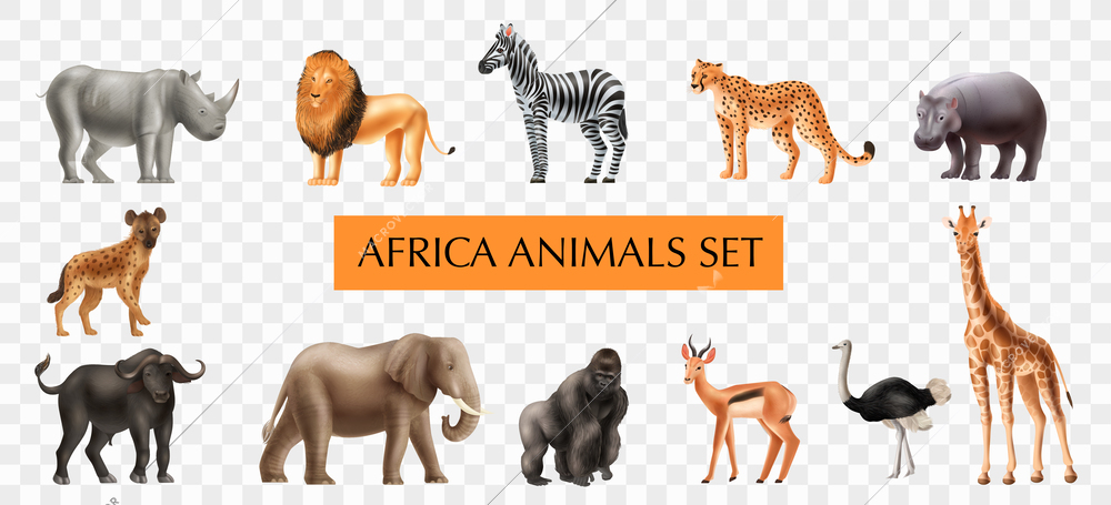 Realistic africa animals set on transparent background with isolated icons of wild tropical beasts and mammals vector illustration