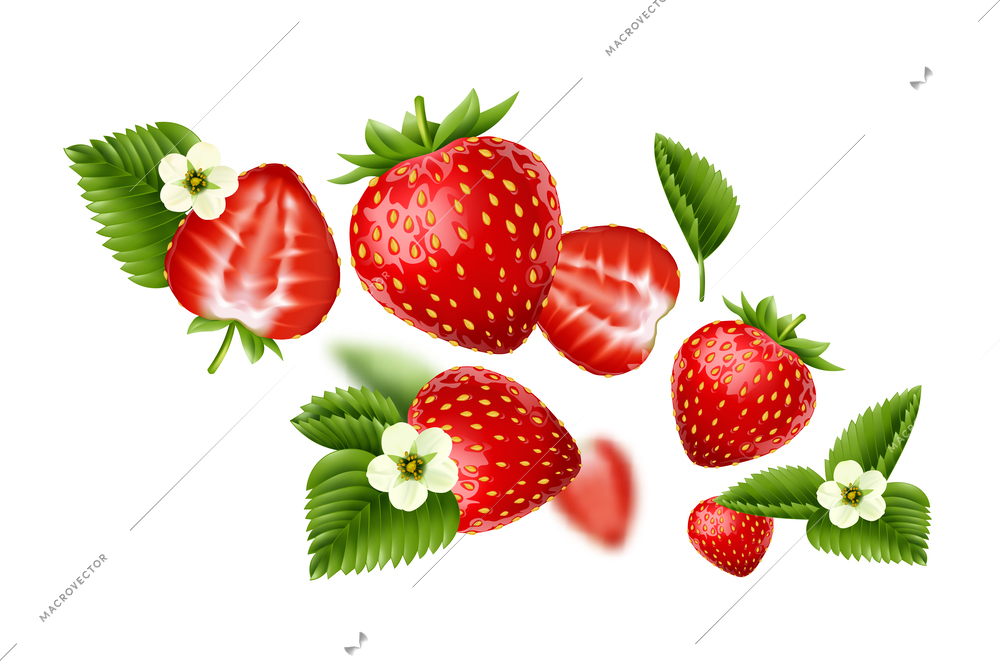 Flying ripe strawberry berries blossomed flowers and leaves realistic abstract composition on white background vector illustration