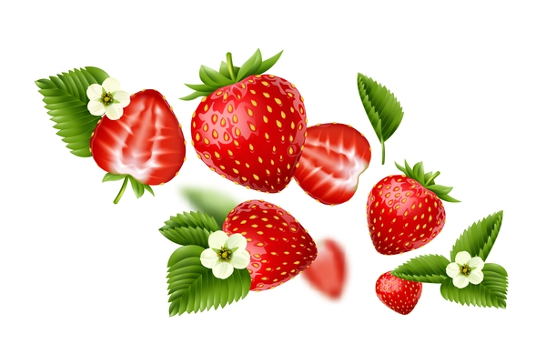 Flying ripe strawberry berries blossomed flowers and leaves realistic abstract composition on white background vector illustration