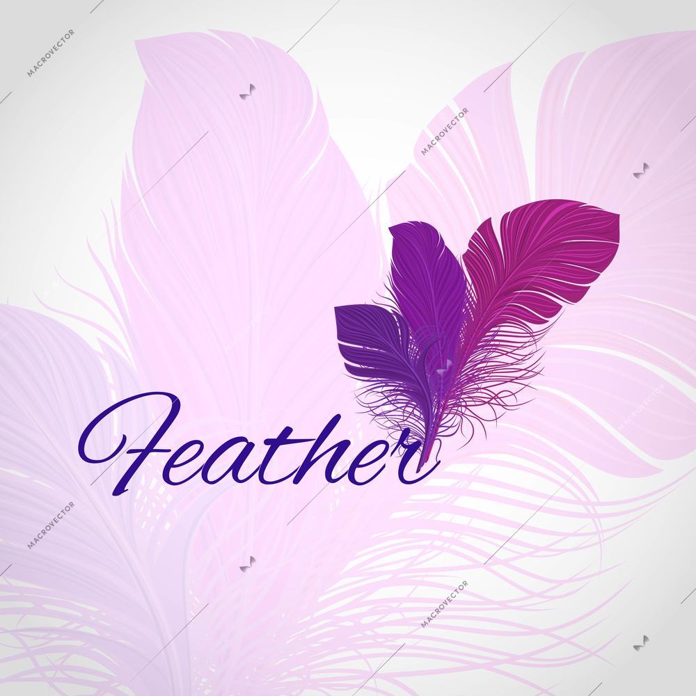 Colorful violet bird feather abstract fantasy background vector illustration