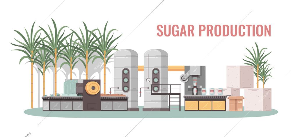 Sugar production process cartoon concept with factory equipment conveyor line cane and finished product vector illustration
