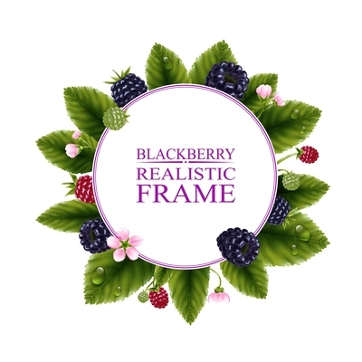 Realistic round frame with fresh blackberries and water drops on green leaves vector illustration