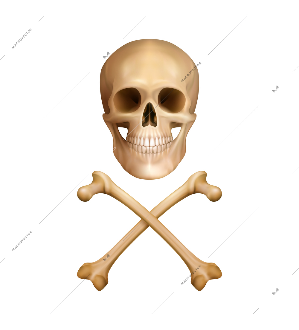 Realistic human skull and crossbones isolated vector illustration