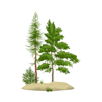 Realistic pine forest element with green coniferous and foliage trees vector illustration