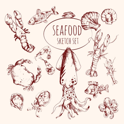 Seafood sketch set with lobster salmon shrimp tuna fish isolated vector illustration