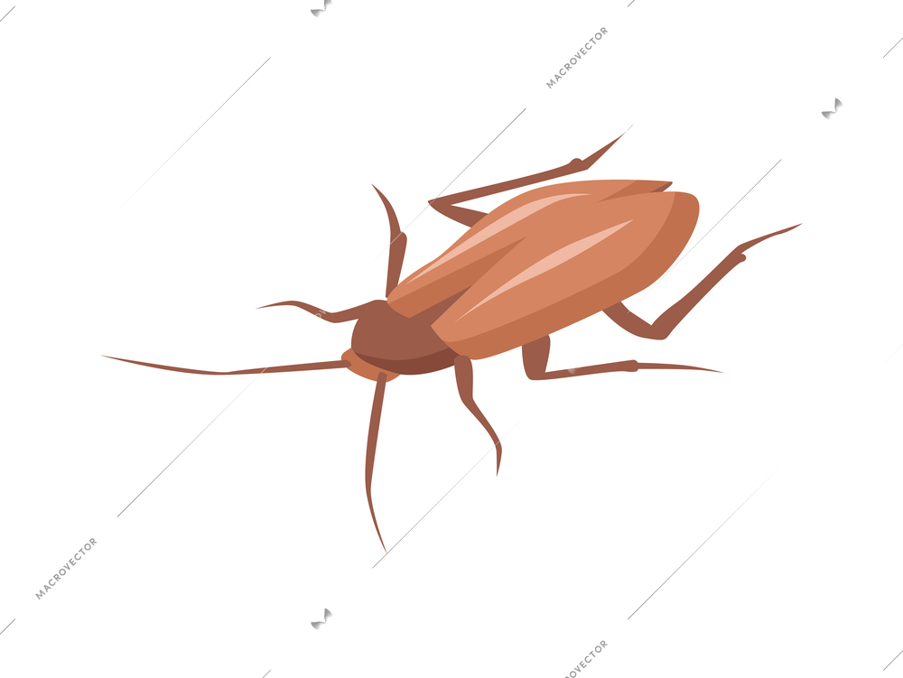 Brown cockroach isometric icon vector illustration