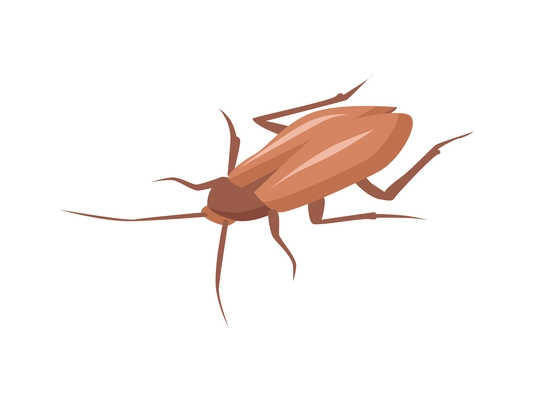 Brown cockroach isometric icon vector illustration