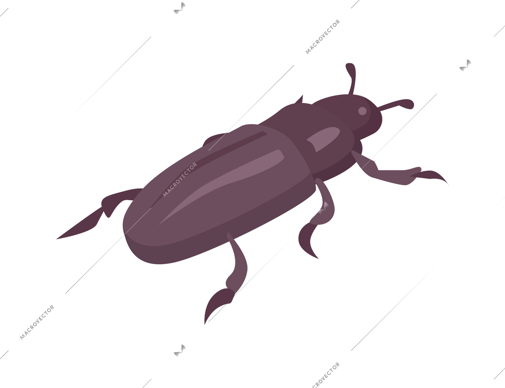 Black bug isometric icon on white background vector illustration