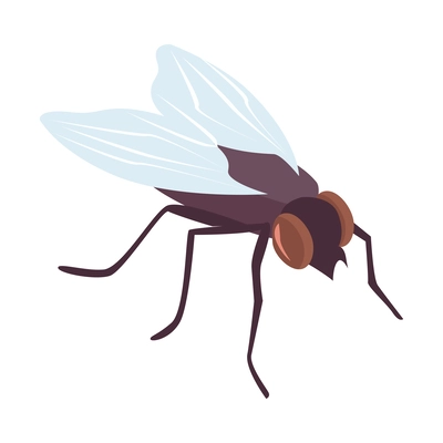 Isometric color fly icon on white background vector illustration