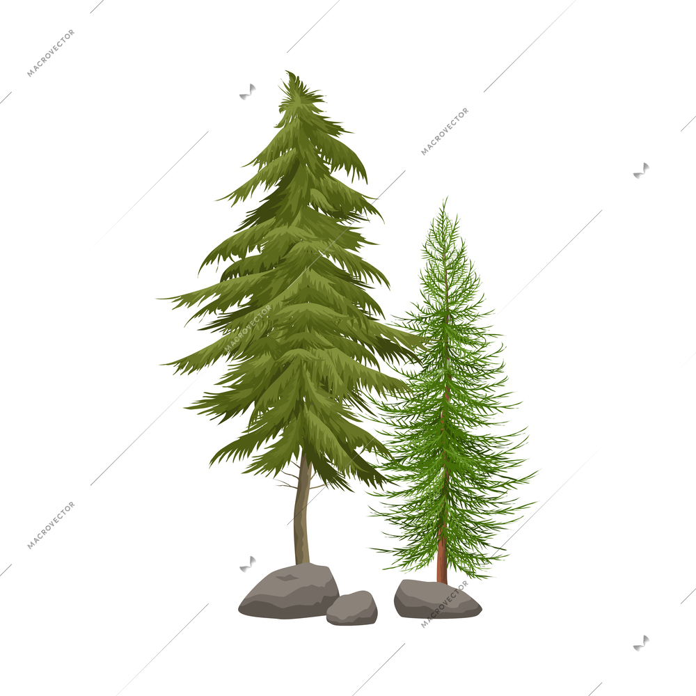 Realistic coniferous trees with stones vector illustration