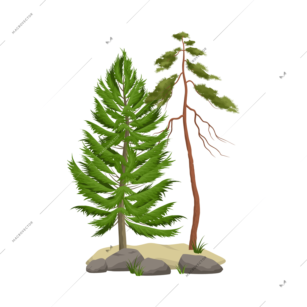 Realistic pine forest elements with green trees and boulders vector illustration