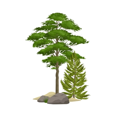 Pine forest elements with realistic green trees and boulders vector illustration
