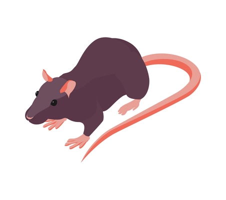 Isometric rat against white background 3d vector illustration