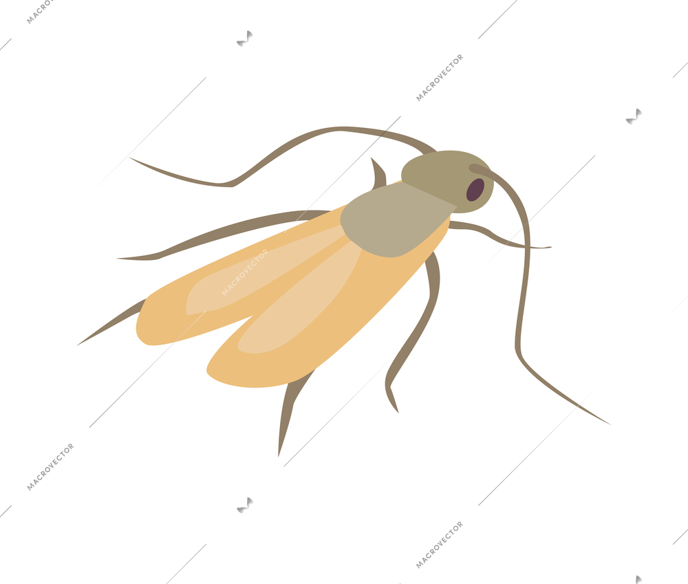 Isometric color moth icon on white background vector illustration