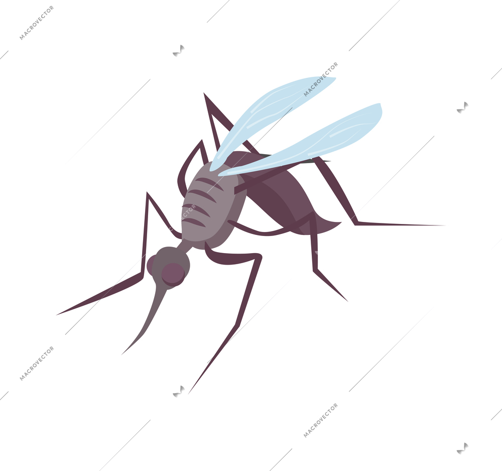 Mosquito isometric icon on white background vector illustration