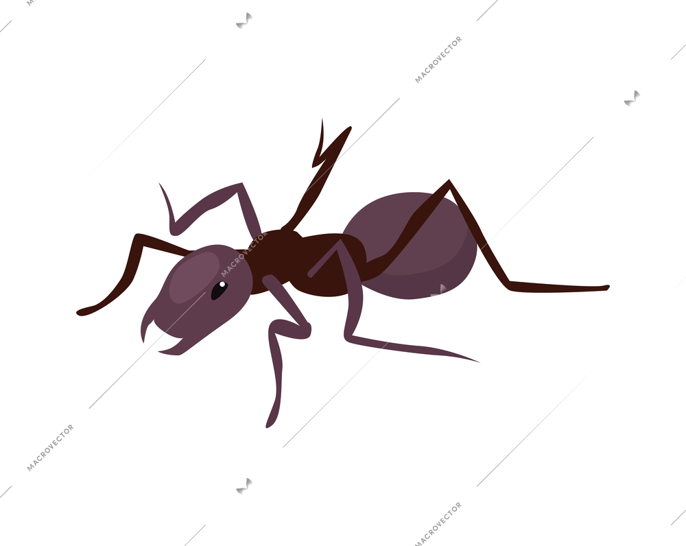 Isometric black ant icon vector illustration