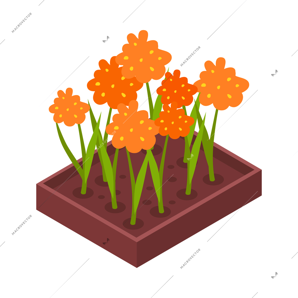 Isometric flowerbed with blooming orange flowers 3d icon vector illustration