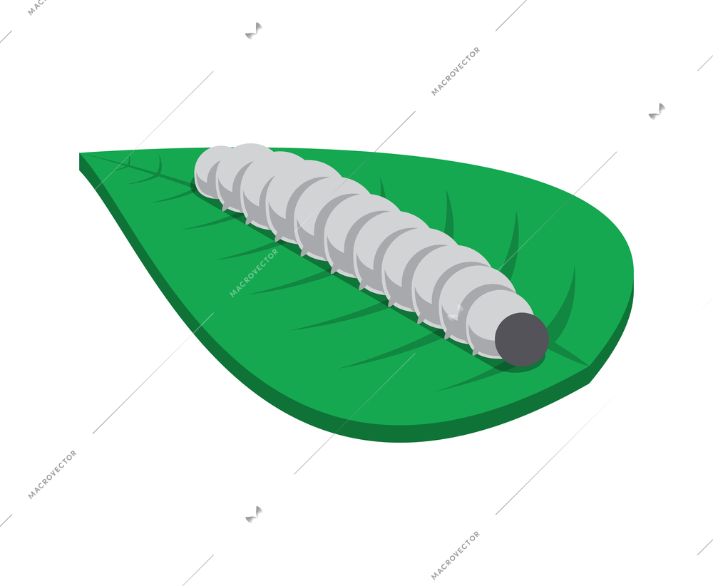 Silkworm on green leaf isometric icon on white background 3d vector illustration