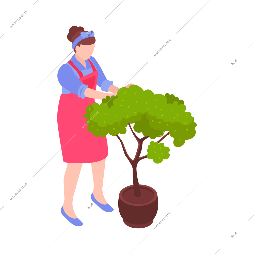 Isometric female florist taking care of green tree in pot 3d vector illustration