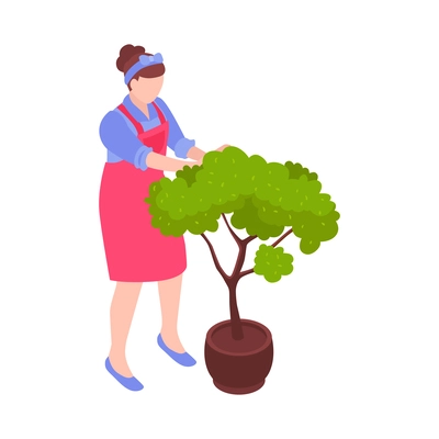 Isometric female florist taking care of green tree in pot 3d vector illustration