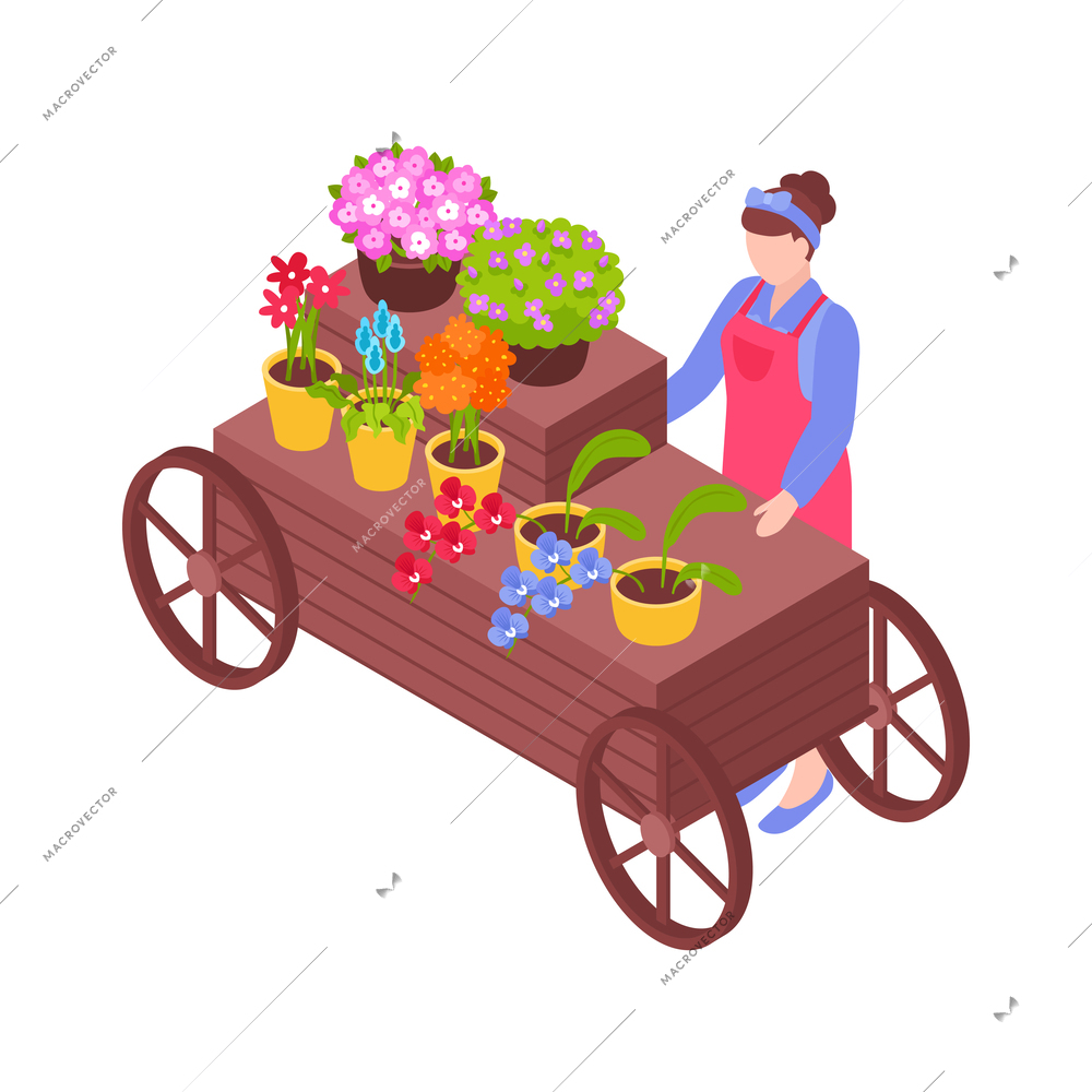 Isometric florist stall with female seller and various flowers in pots vector illustration