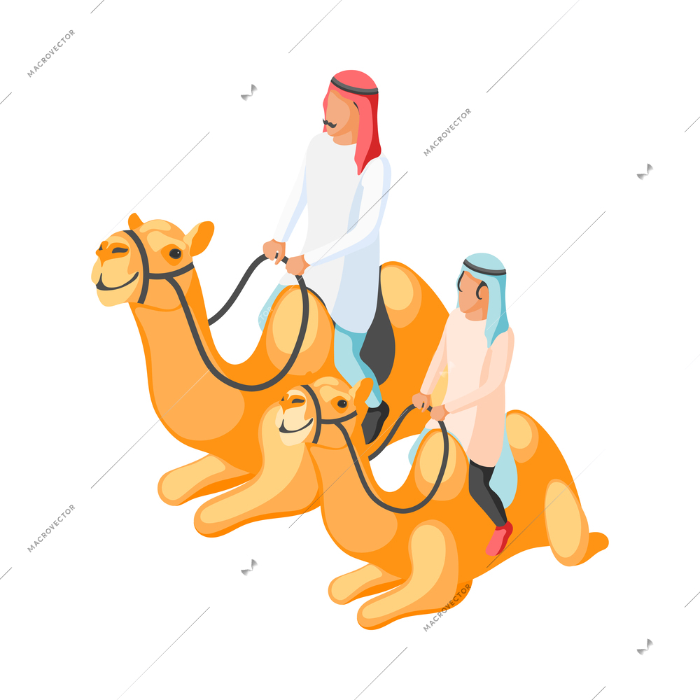 Isometric arabic family with man and son riding camels 3d vector illustration