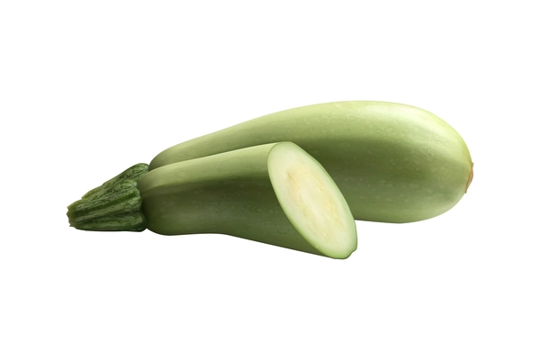 Whole and cut fresh green zucchini realistic vector illustration