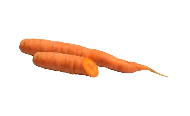 Realistic fresh raw whole and cut carrot on white background vector illustration