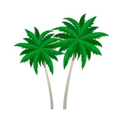 Two flat green palm trees against white background vector illustration