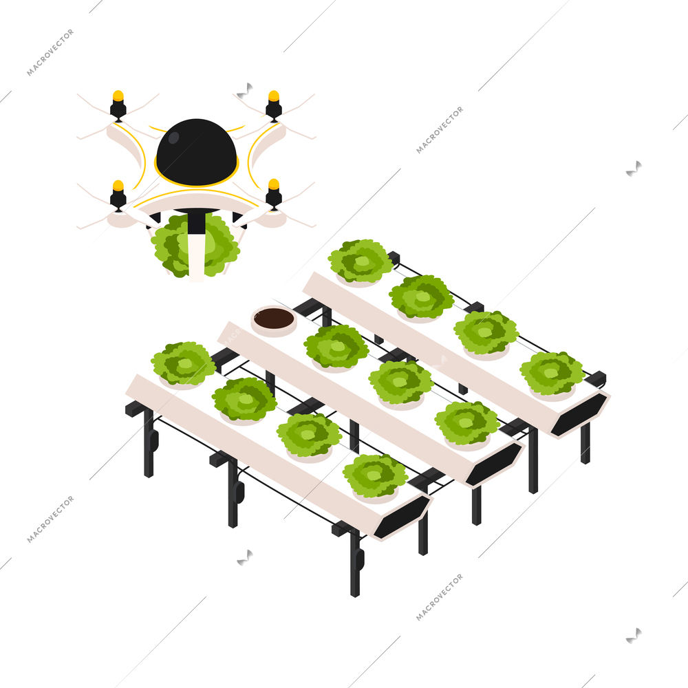 Flying drone working on smart farm planting or harvesting 3d isometric icon vector illustration