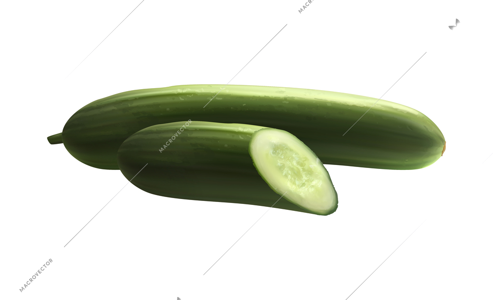 Realistic whole and sliced fresh cucumber vector illustration