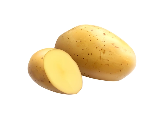 Whole and cut unpeeled raw potato on white background realistic vector illustration