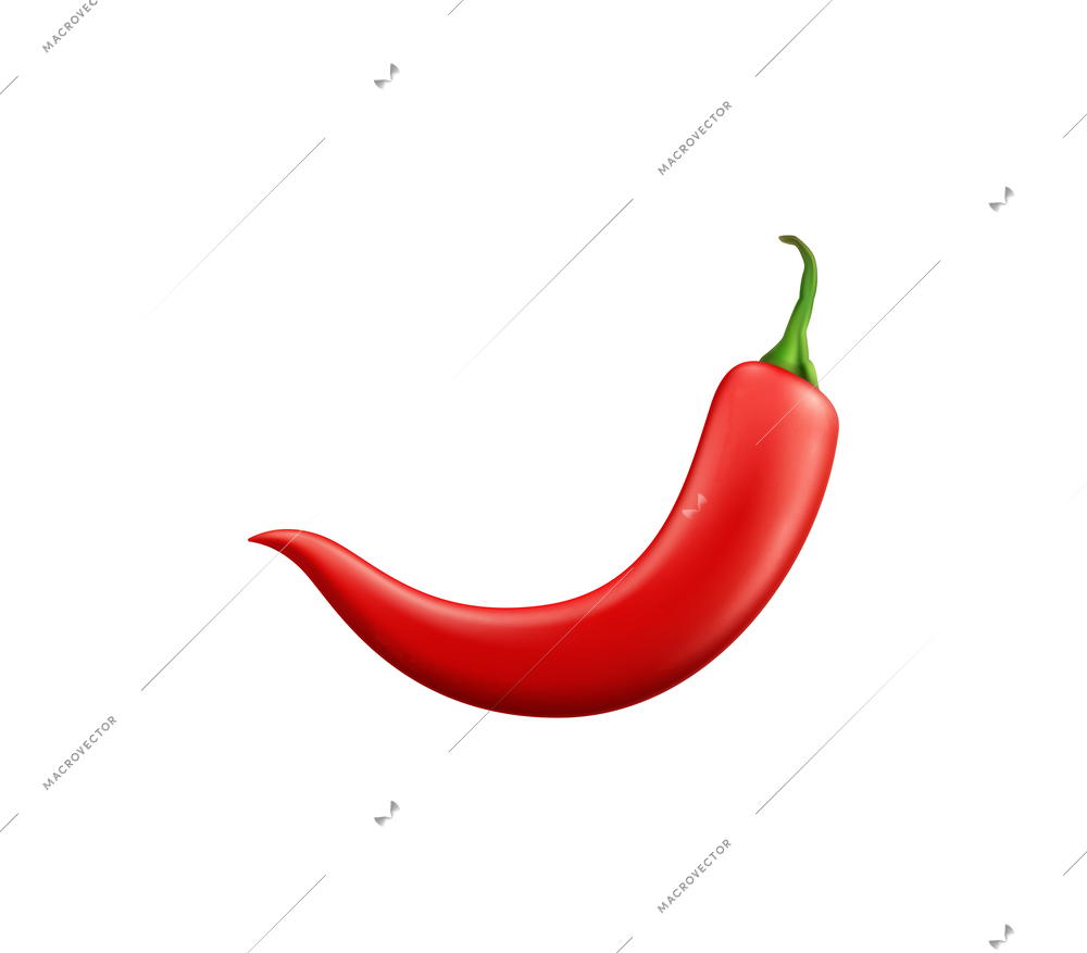 Realistic red chili pepper on white background vector illustration