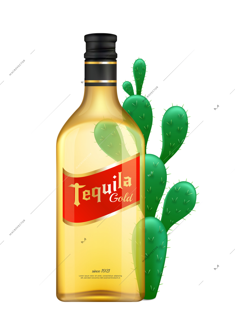 Realistic tequila bottle and green cactus vector illustration