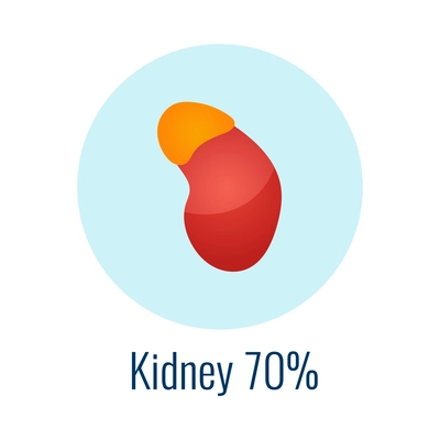 Water in human organ kidney flat icon vector illustration