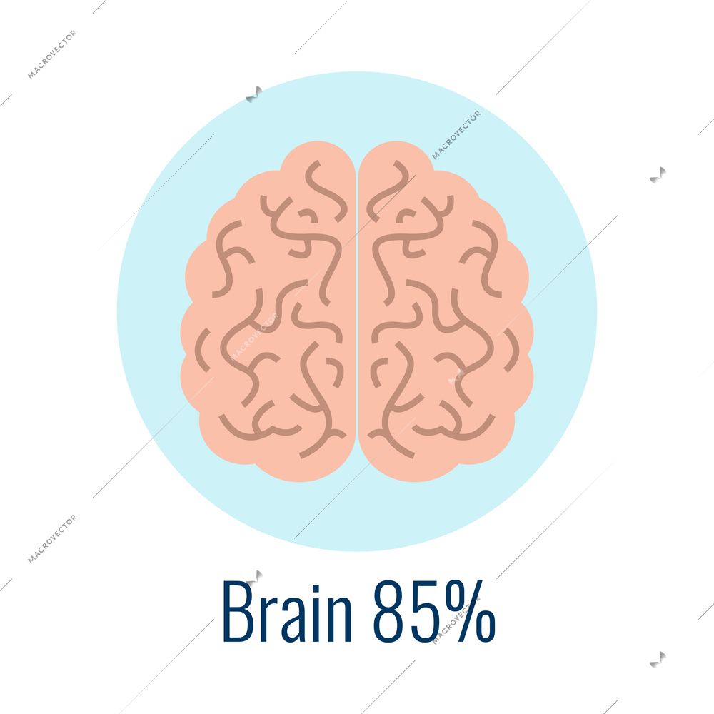 Water in human organ brain flat icon vector illustration