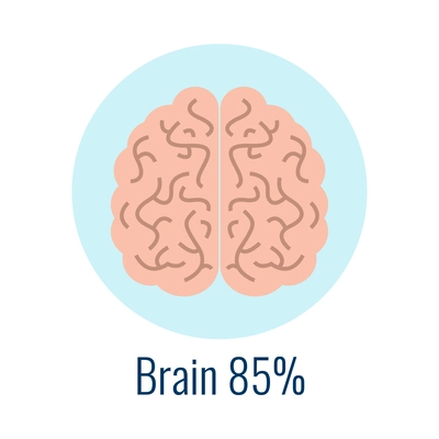 Water in human organ brain flat icon vector illustration