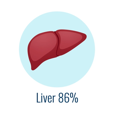 Water in human organ liver flat icon vector illustration