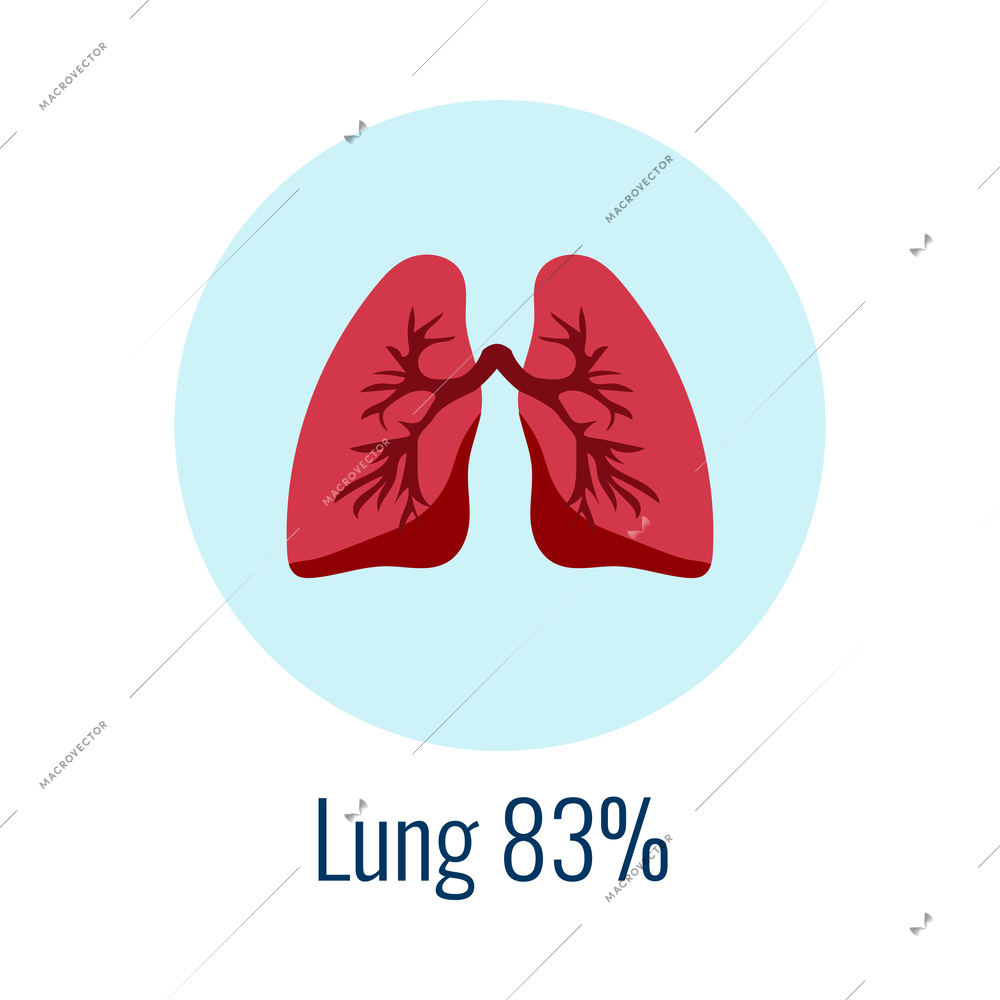 Water in human organ lungs flat icon vector illustration