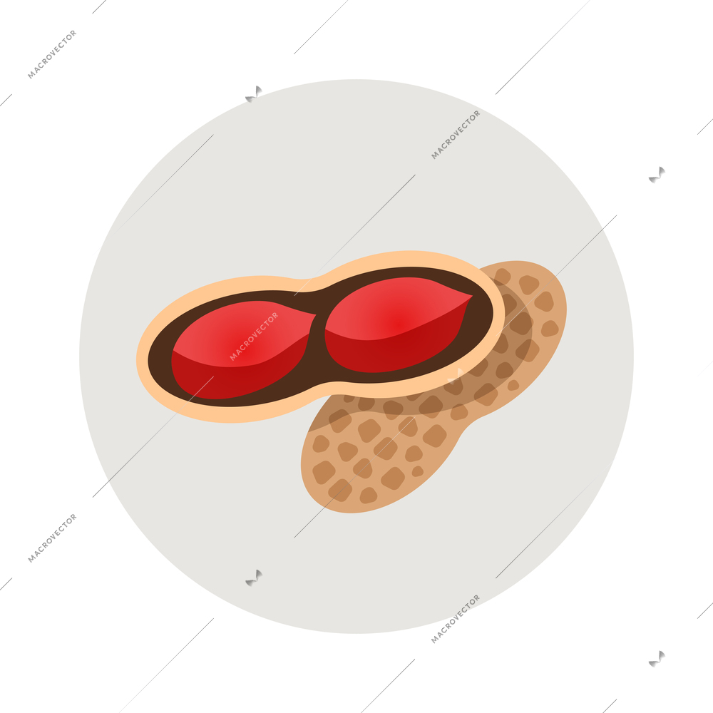 Raw peanut flat icon in grey circle vector illustration
