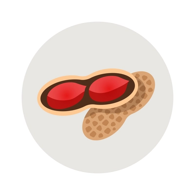 Raw peanut flat icon in grey circle vector illustration