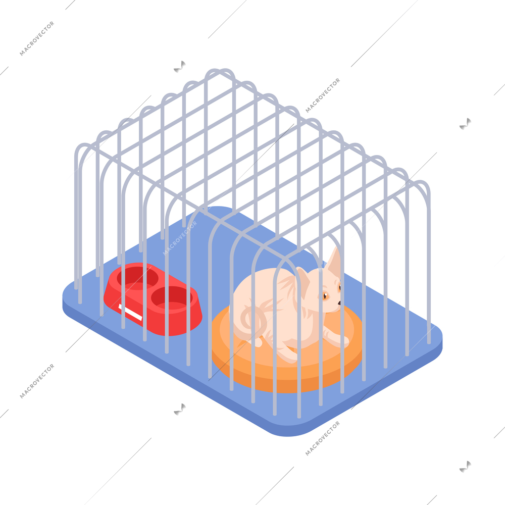 Animal shelter isometric icon with homeless cat in cage 3d vector illustration