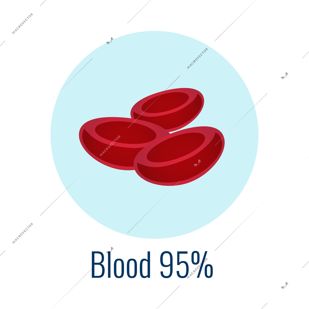 Amount of water in human blood flat icon vector illustration