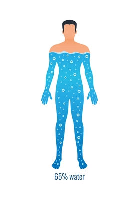 Amount of water in human body with percentage flat vector illustration