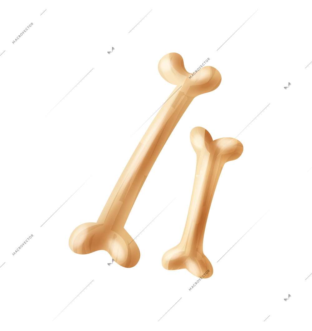 Realistic bones for voodoo african practices vector illustration