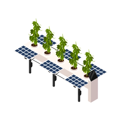 Smart farm greenhouse technology with cucumbers growing on beds equipped with solar panels isometric icon vector illustration