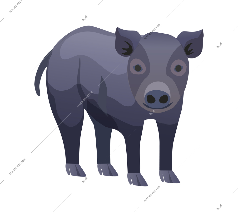 Flat black piglet on white background vector illustration