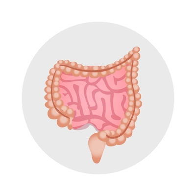 Human intestines icon on flat style vector illustration