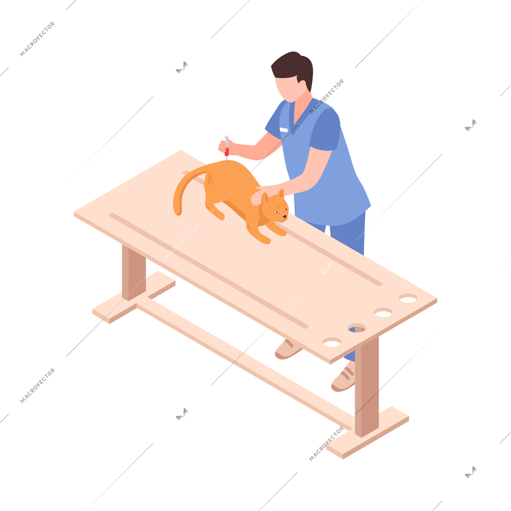 Pet care isometric icon with vet giving injection to cat 3d vector illustration